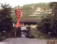 Konzept für Weinbahnhof Walporzheim